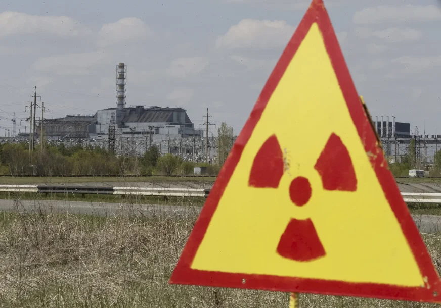У Чорнобилі помітили рідкісного хижака орлана-білохвоста