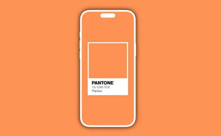 Раскрыты возможные цвета iPhone 17 Pro: появились первые фото аксессуаров