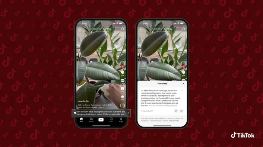 TikTok запустил в США краудсорсинговую систему фактчекинга Footnotes