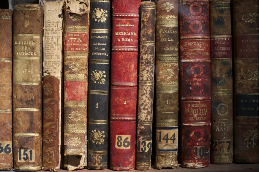 В Угорщині рятують 100 тисяч старовинних книг від навали жуків-шкідників