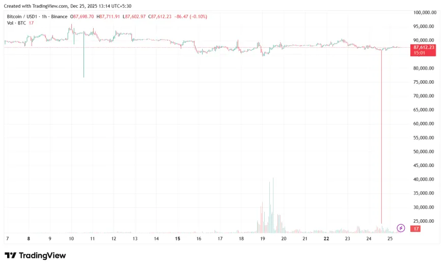 Курс біткоїна на Binance різко впав до $24 111 у парі з USD1 та швидко відновився