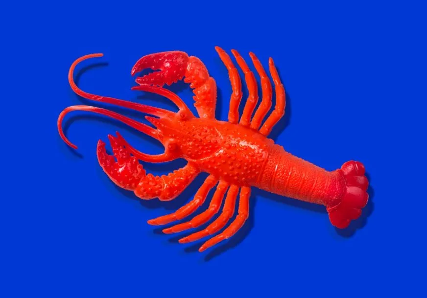 Создатель OpenClaw Петер Штайнбергер присоединился к команде OpenAI