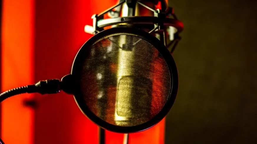 Ведущий NPR Дэвид Грин подал в суд на Google из-за возможного использования его голоса в NotebookLM
