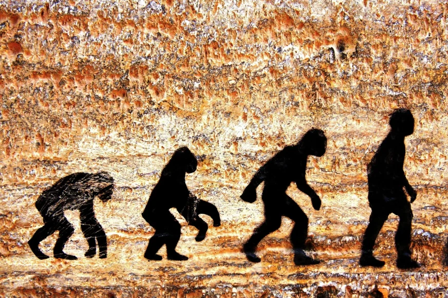 Відкриття Graecopithecus freybergi на Балканах може змінити уявлення про походження людини