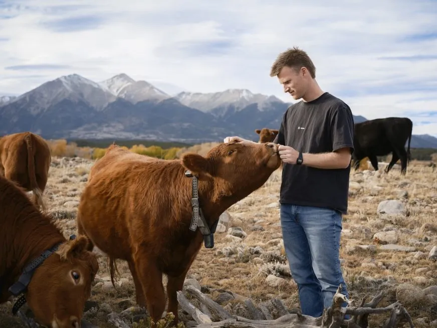 Founders Fund инвестирует в Halter: солнечные умные ошейники для коров покоряют агротехнологии