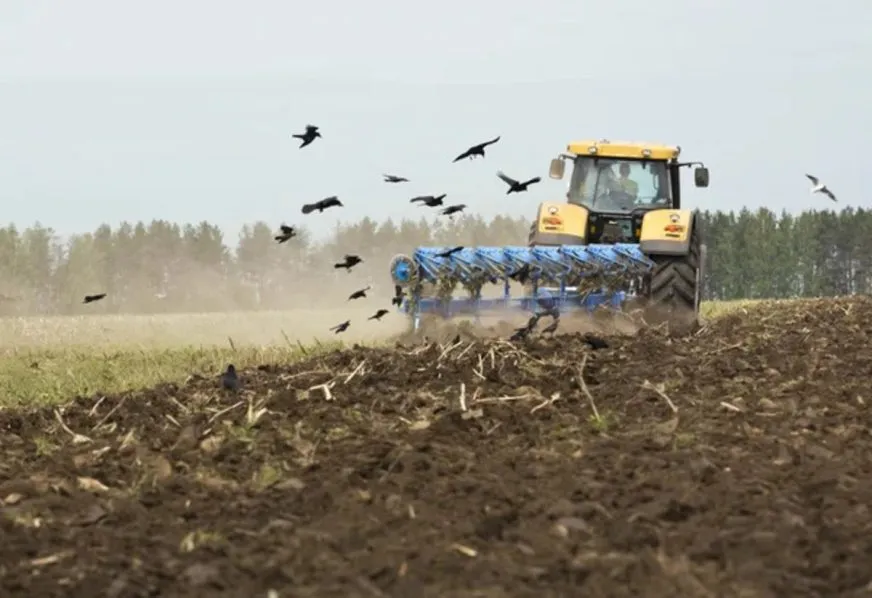Весняна посівна 2026: українські аграрії засіяли понад 12 млн гектарів ярими культурами